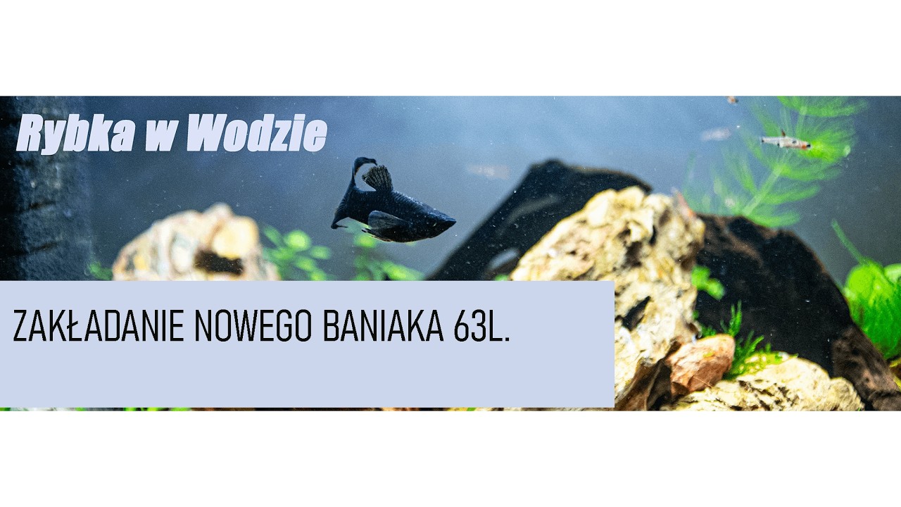 Zakładanie nowego baniaka 63l.