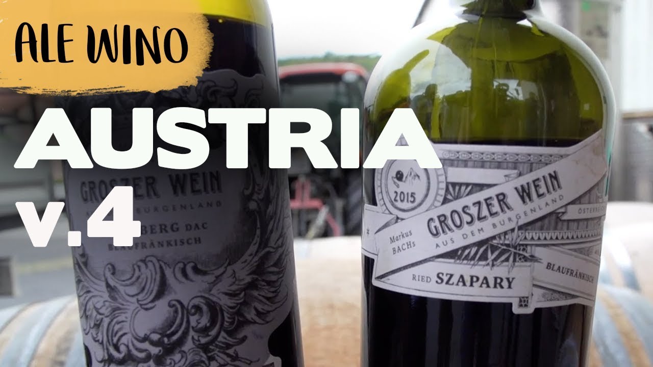 Wszystko o szczepie BLAUFRÄNKISCH! | ABC Ale Wino