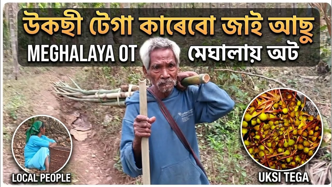উকছী টেগা কাৰেবো জাই আছু || Meghalaya ot 🤤