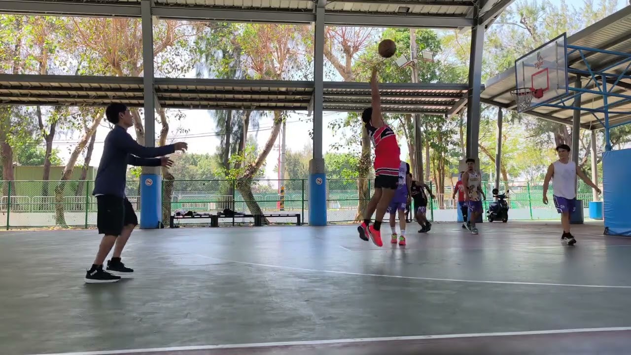 Papawis #basketball #highlights 