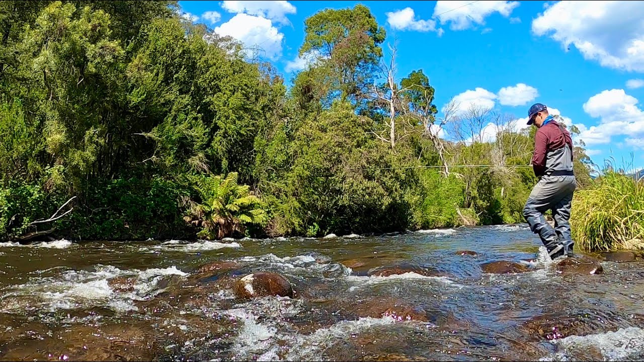 Fly Fishing the Rubicon River with Nymphs in Perfect Conditions!