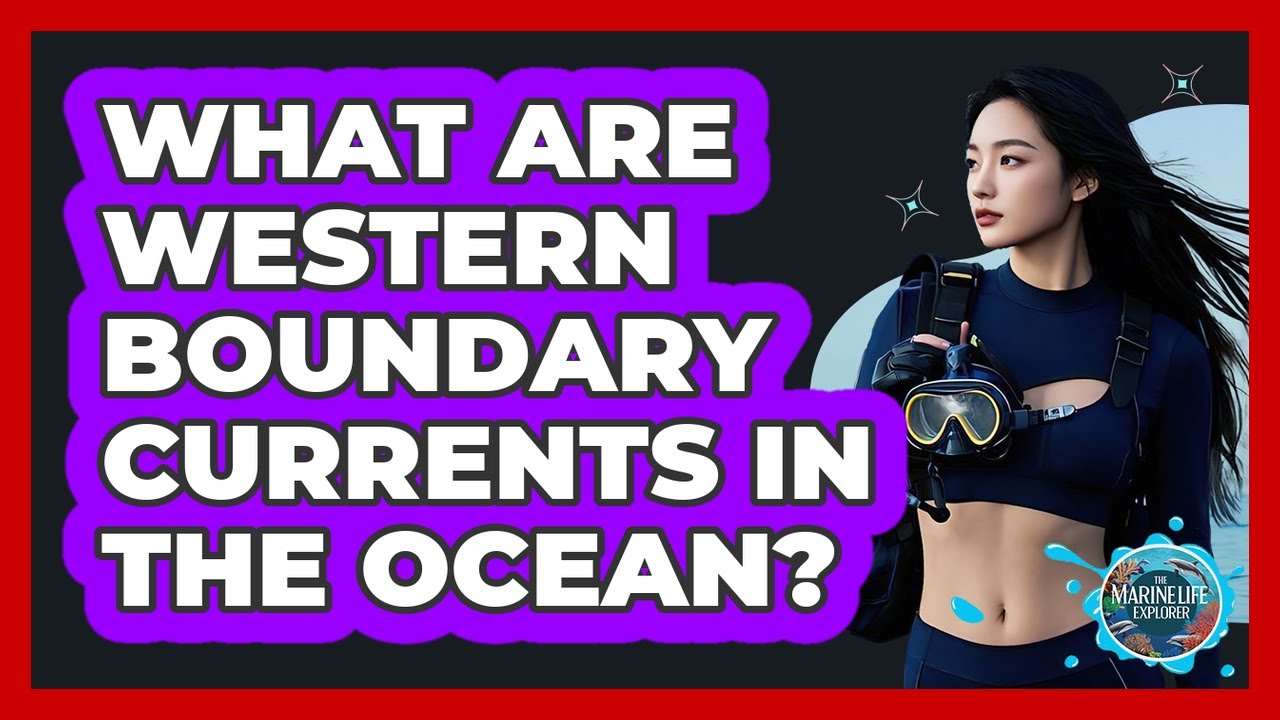 What Are Western Boundary Currents In The Ocean? - The Marine Life Explorer
