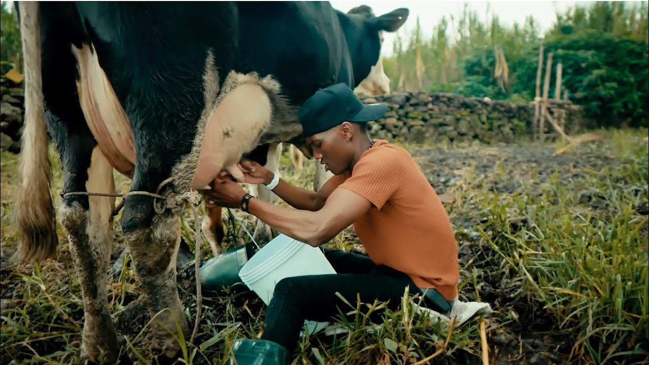 Twagize ikiringo Mubangambyiro za Sironi🛖🐂