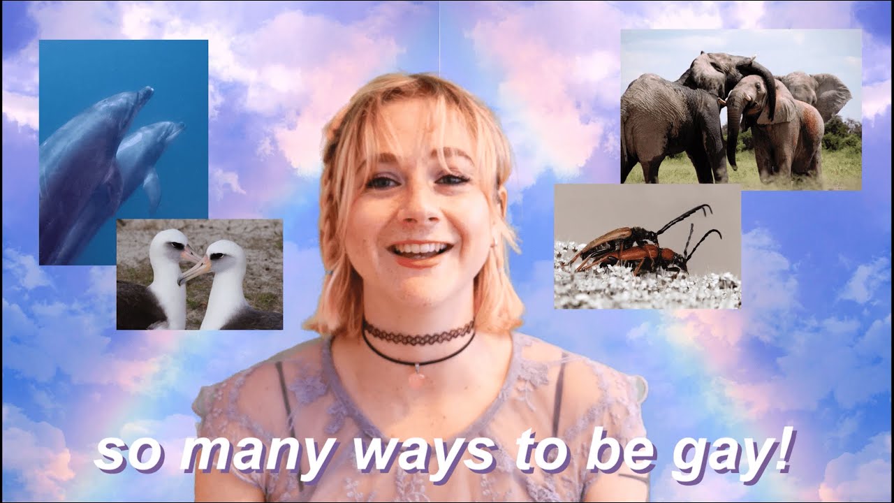 the sheer diversity of the queer animal community | a pride month celebration