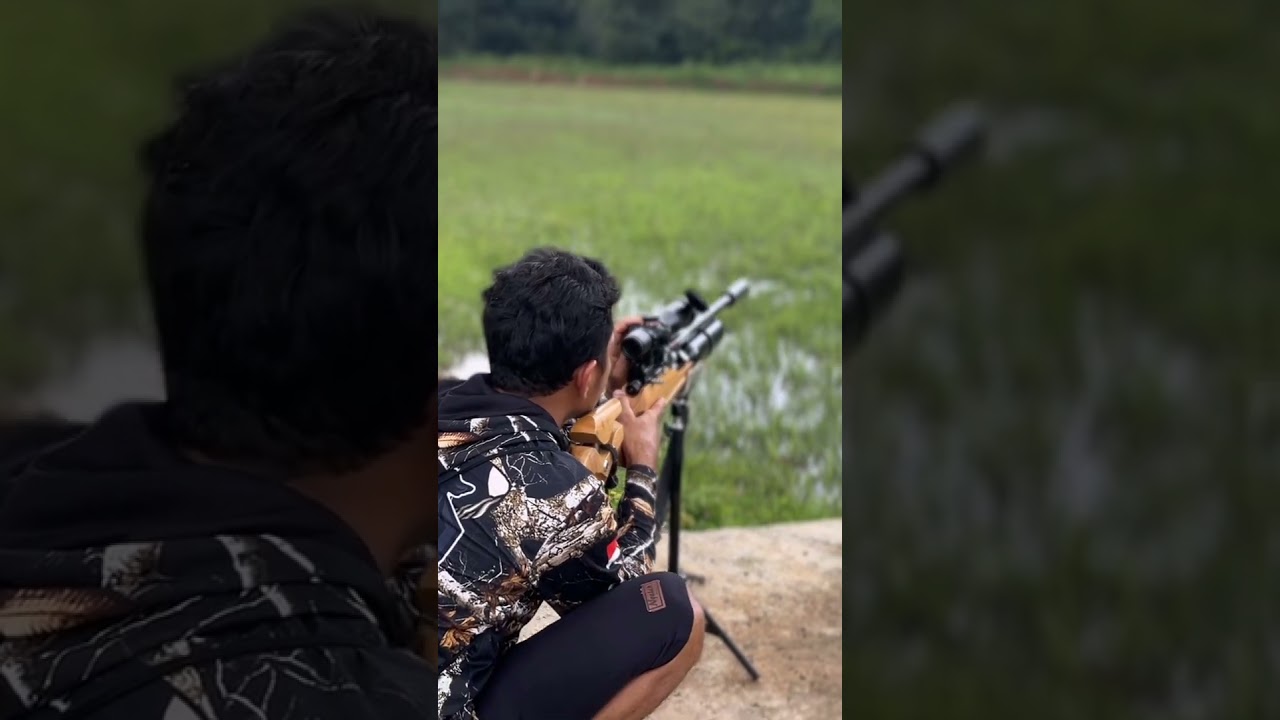 Zeroing first before hitting the turtle dove