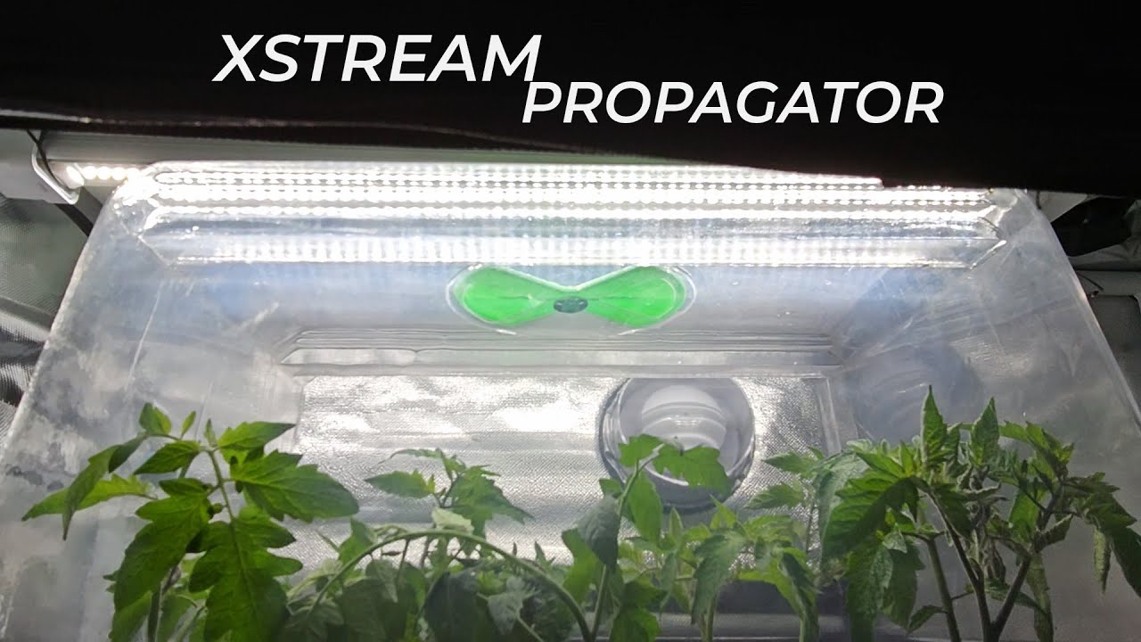 Xstream propagator