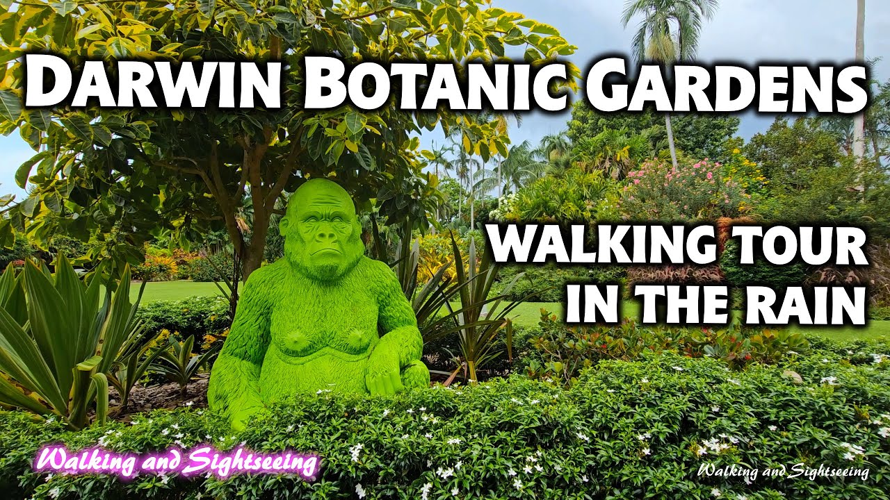 DARWIN AUSTRALIA 🇦🇺 CITY BOTANIC GARDENS WALKING TOUR IN THE RAIN 2024 RELAXING SOUNDS OF NATURE 🇦🇺