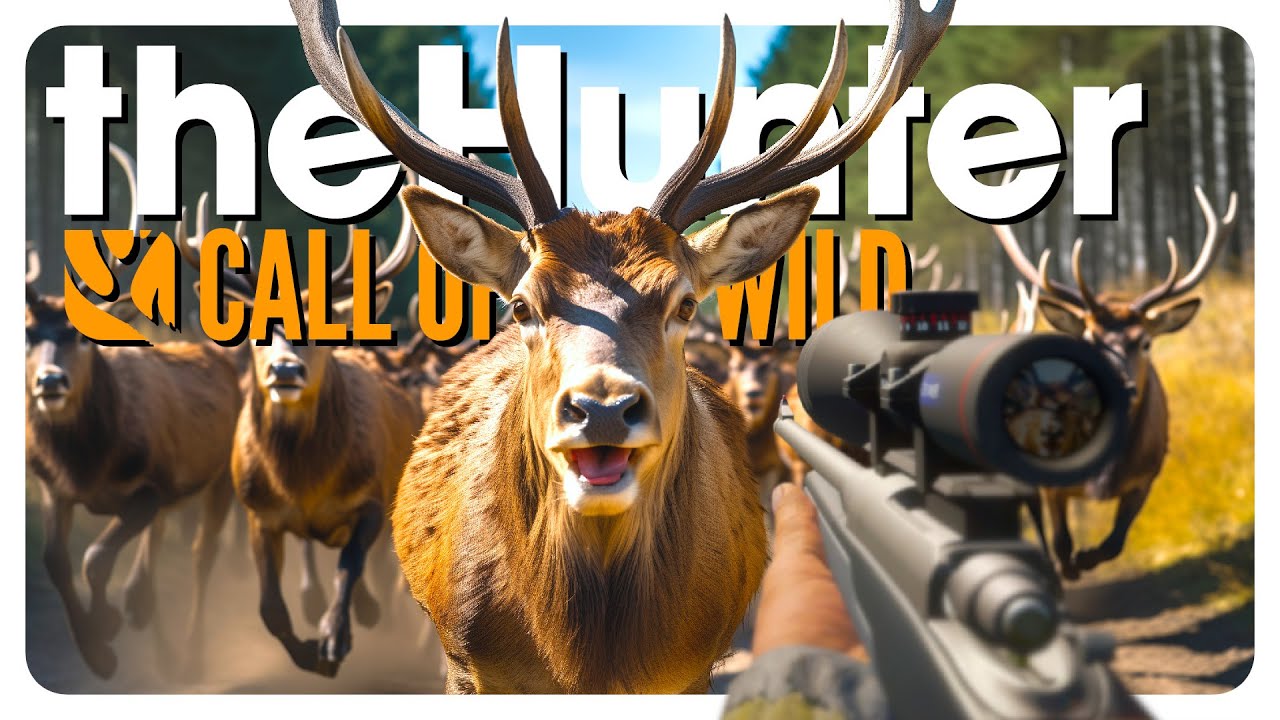 COTW but I can ONLY HUNT from the ROAD | theHunter: Call of the Wild [Hirschfelden]