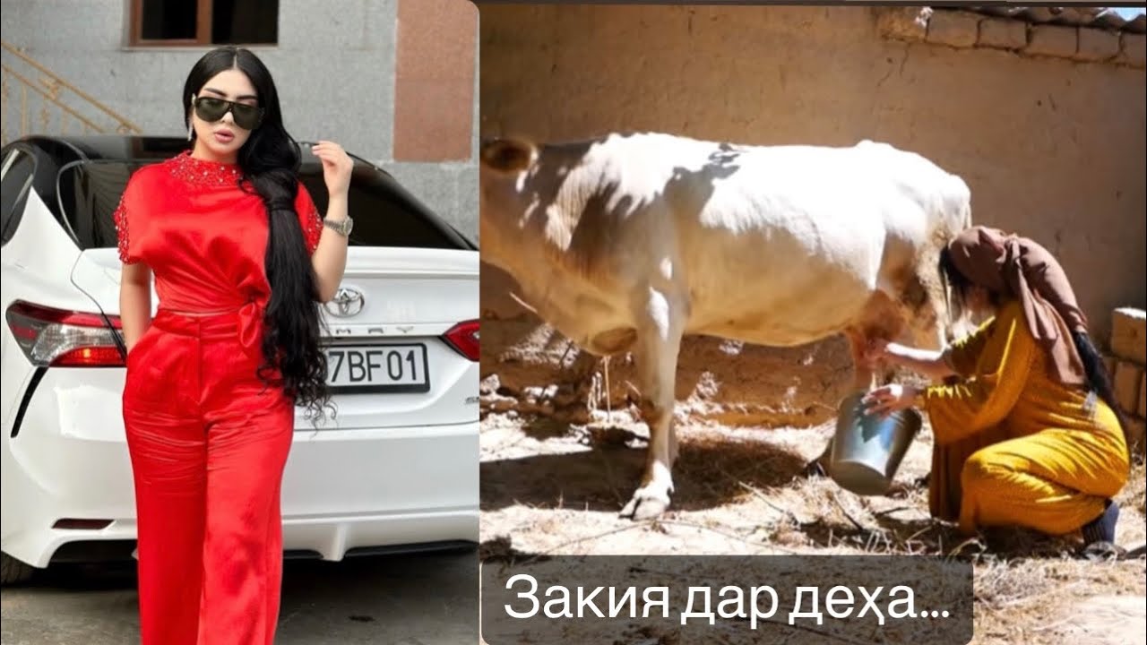 ЗАКИЯ дар Қишлоқ “Бонуи Пурҳунар”