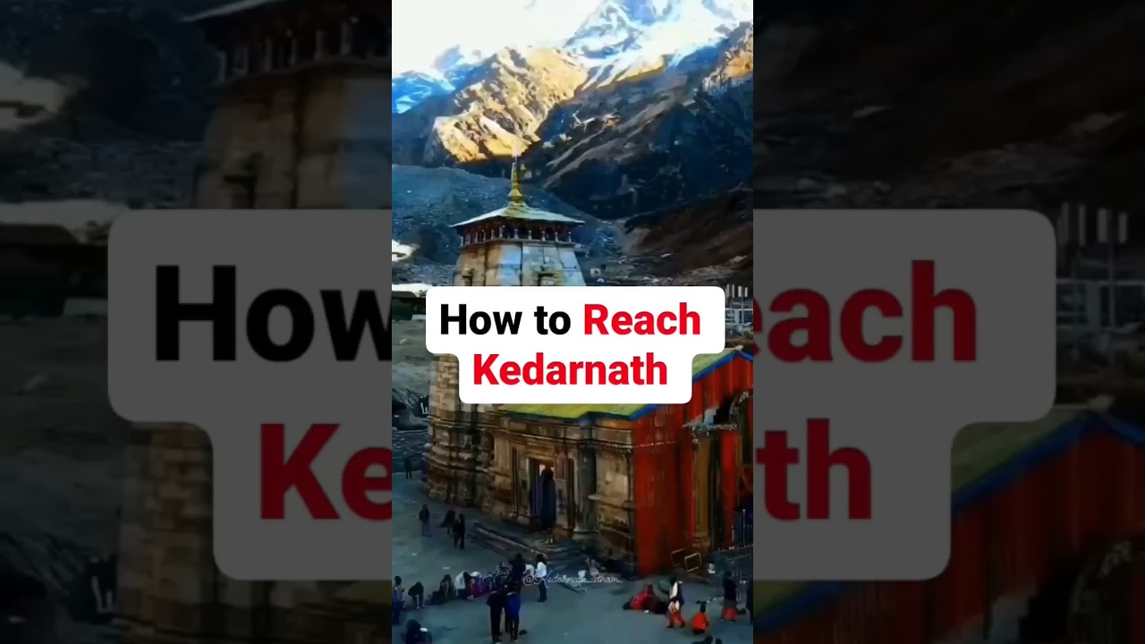 How To Reach Kedarnath |Uttarakhand | Lord Shiva Temple | #kedarnath #ytshorts #shorts