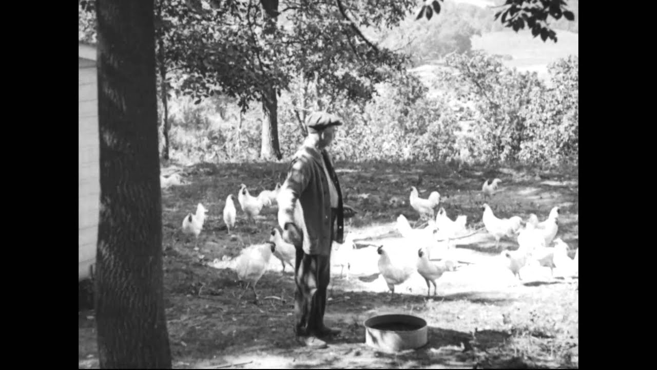 Activities at the United States Disciplinary Baracks, Fort Leavenworth, Kansas--1918