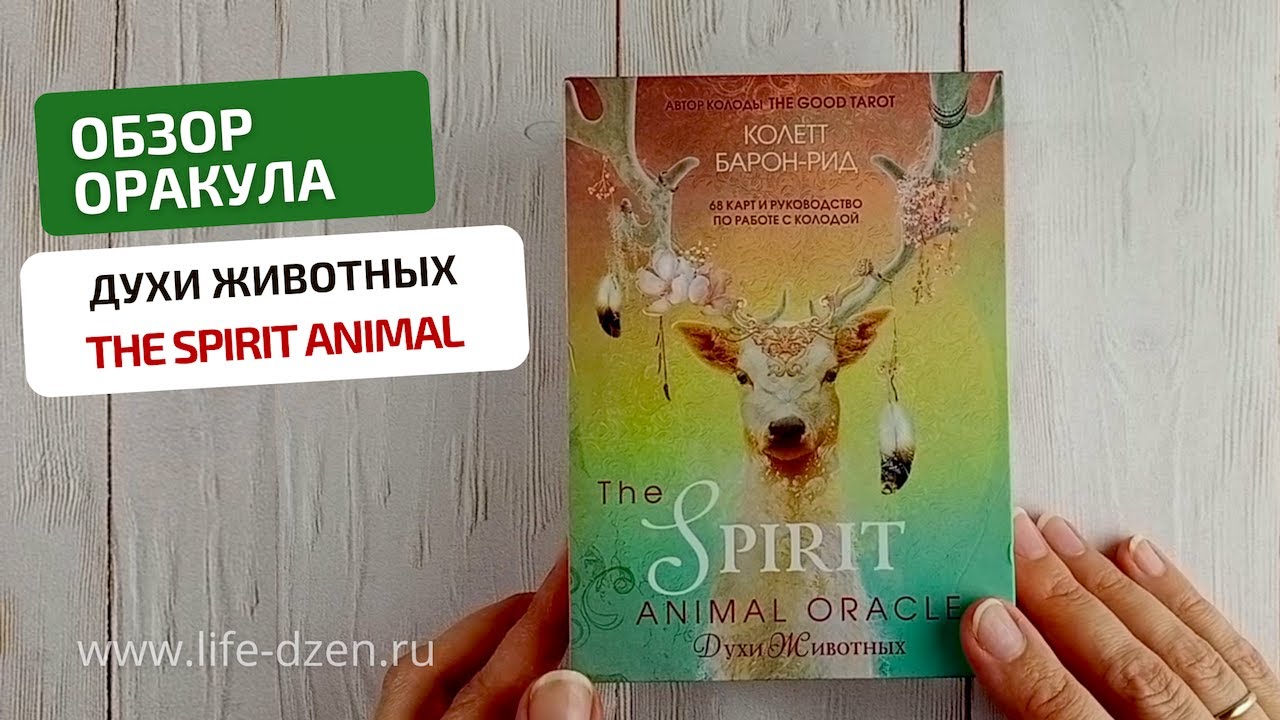 Обзор Оракула Духи Животных, The Spirit Animal Oracle, издательство Эксмо