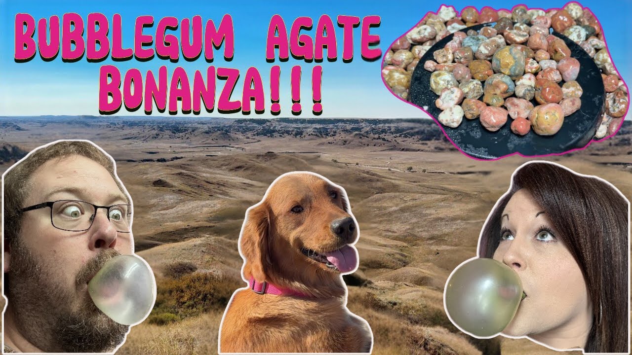 BUBBLEGUM AGATE BONANZA in SOUTH DAKOTA!!!