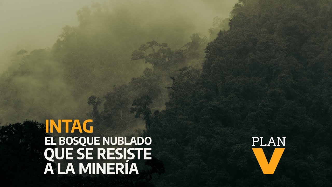 Intag, el bosque nublado que se resiste a la minería