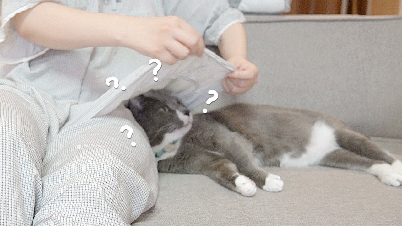 휴지 너어~ 너무 귀여워서 옷 속에 잡아가야겠다!