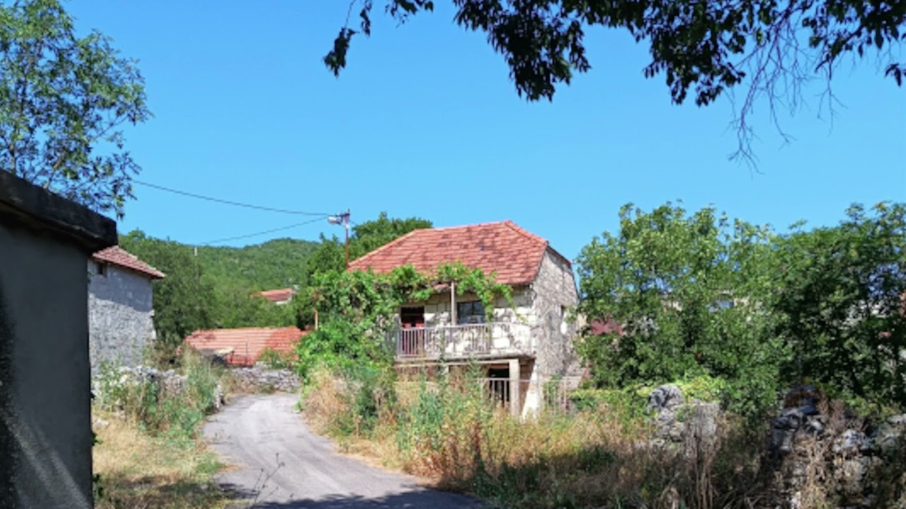 Petar Lendić-Didovina
