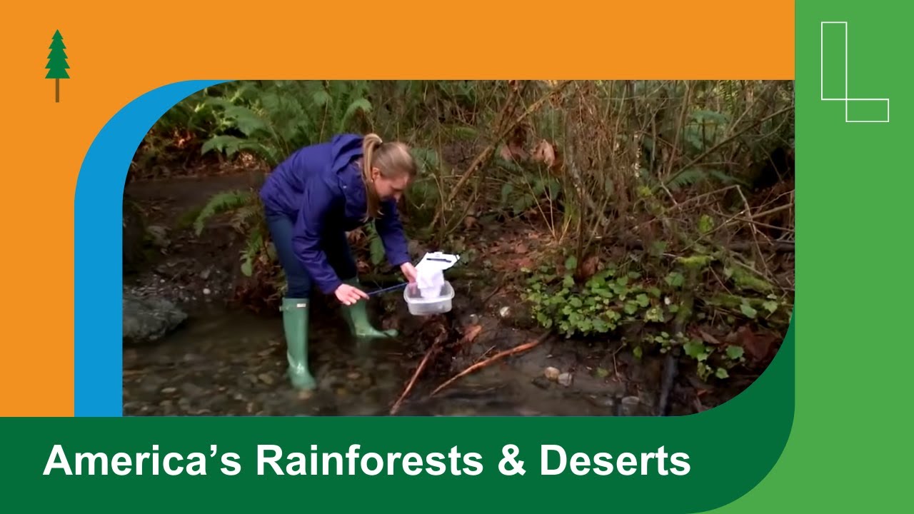 Wild Biomes: America&rsquo;s Rainforests and Deserts