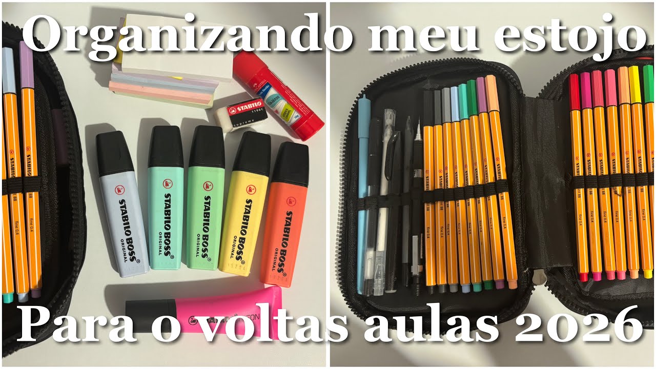 Organizando meu estojo para 2026