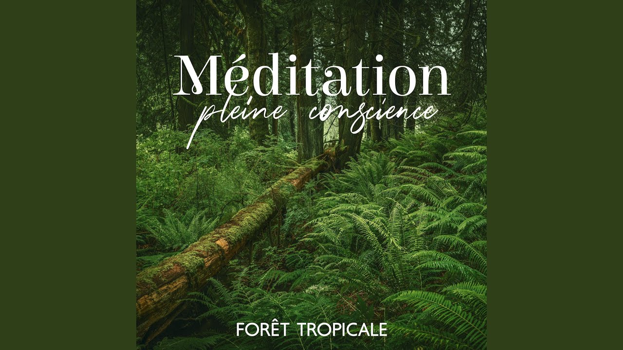 M&eacute;ditation pleine conscience (For&ecirc;t tropicale)