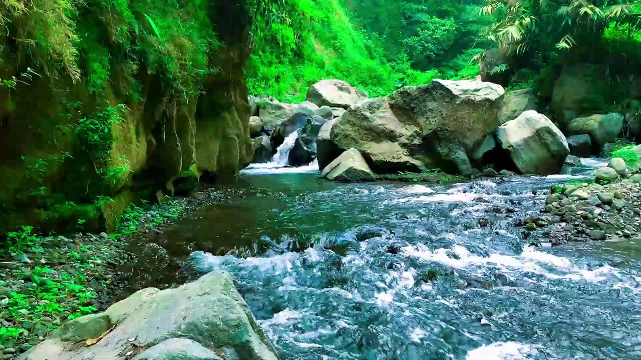 Restore your Soul by the River, Soft Sound and Forest River Sounds | sleep - relax - Stress Relief