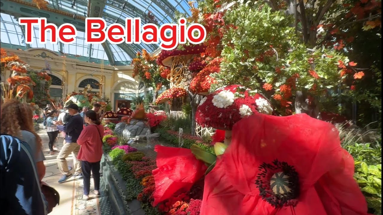 Day 3 in Las Vegas (Morning) at The Bellagio 