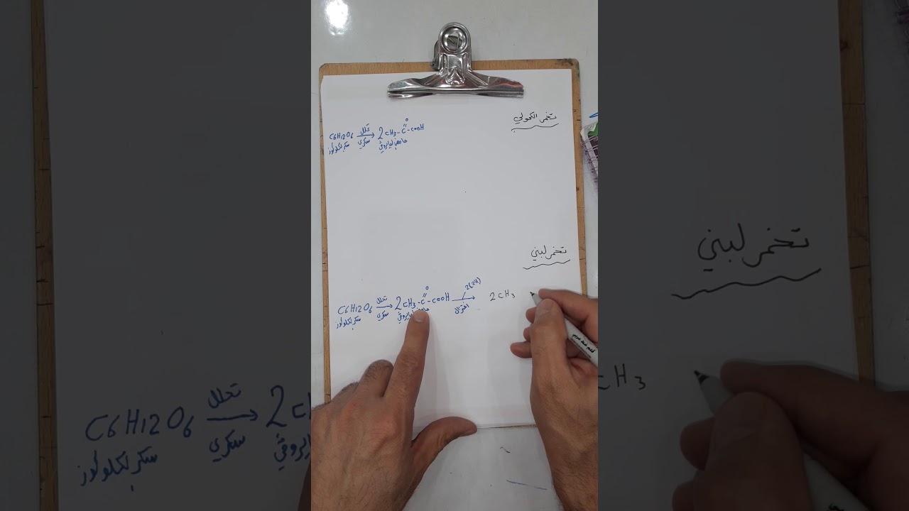 التنفس للاهوائي التخمر الكحولي واللبني