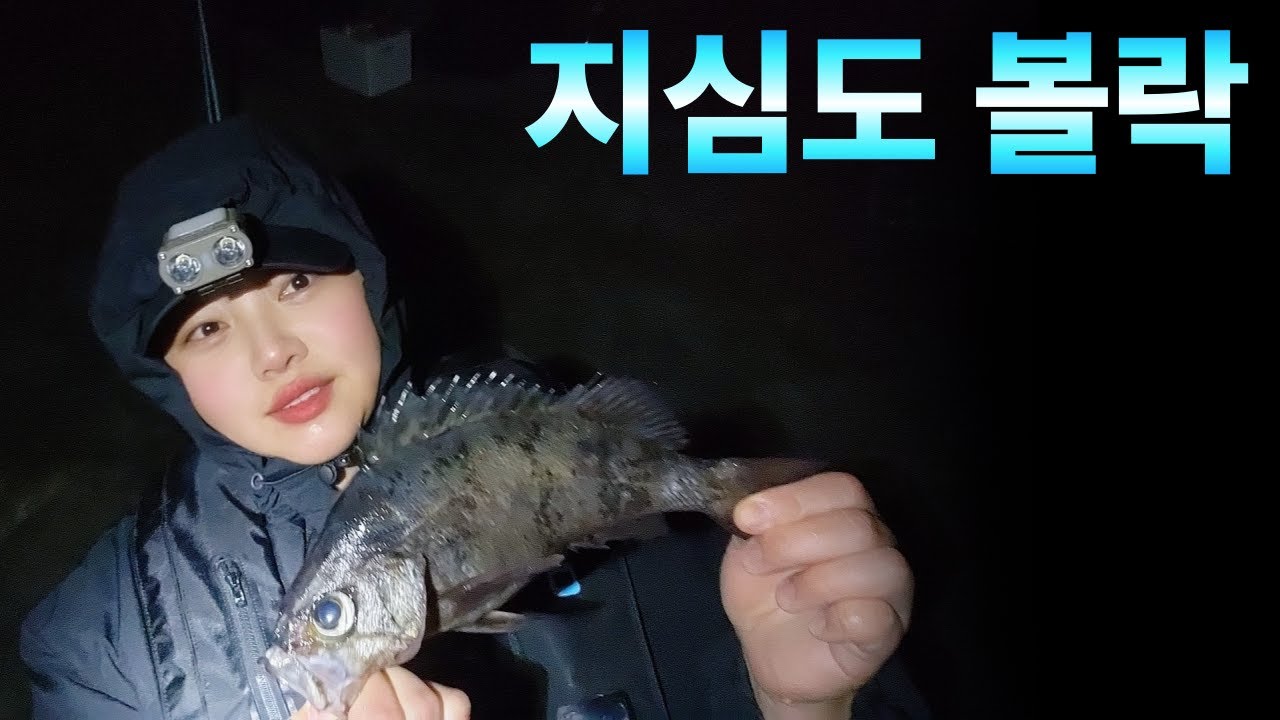 지심도 쫀득 볼락💚