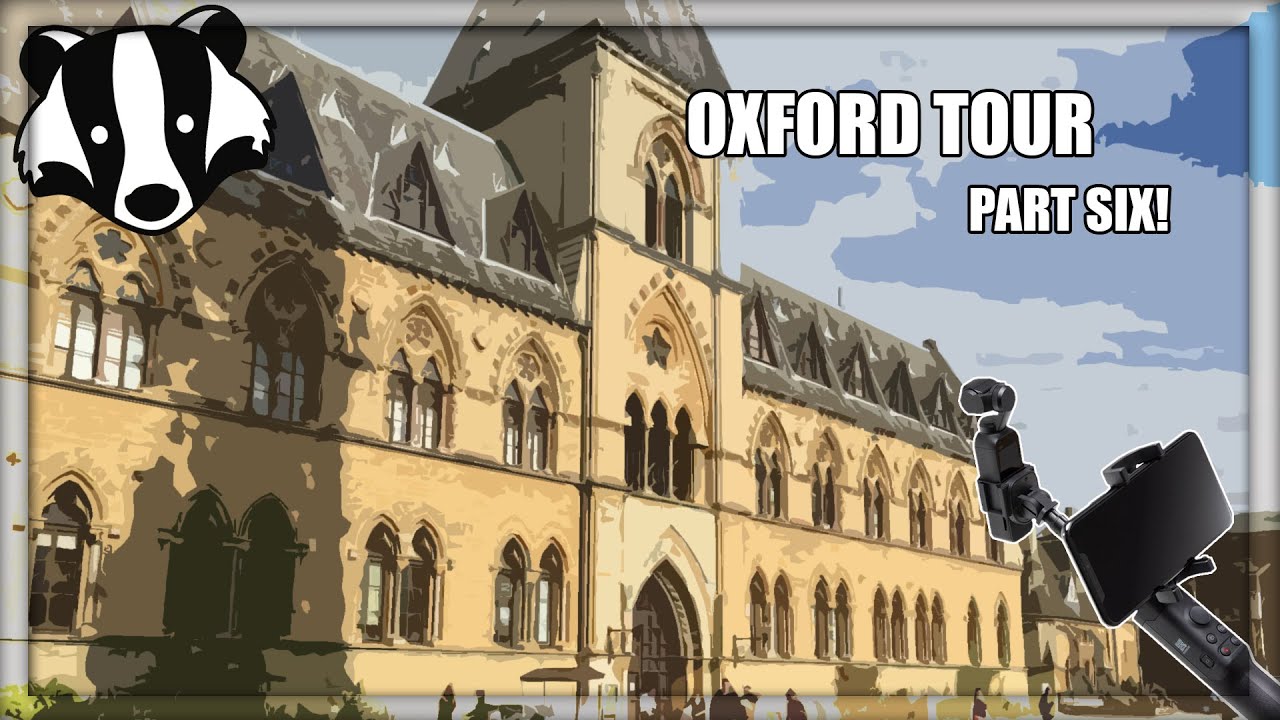 The Museum Of Natural History Oxford - Part 6 【4K HDR】 🚶 🇬🇧
