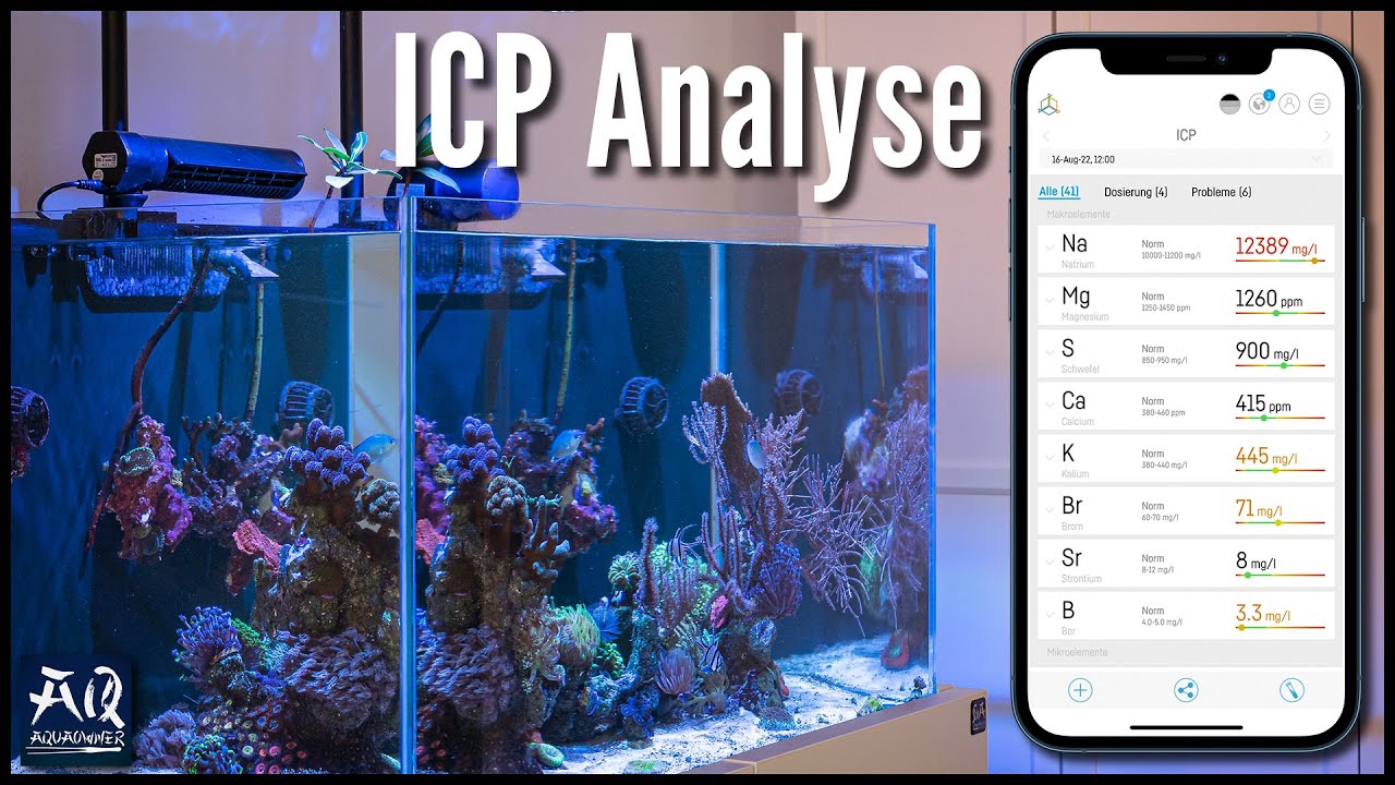 Smarte ICP Analyse von Reef Factory | AquaOwner