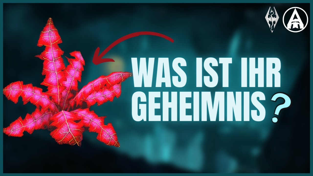 Das Geheimnis der Nirnwurz | Elder Scrolls Lore