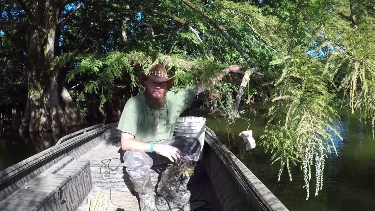 How to Tie an Alligator Hook to Line, How to Set Gator Line to Fish from a Tree