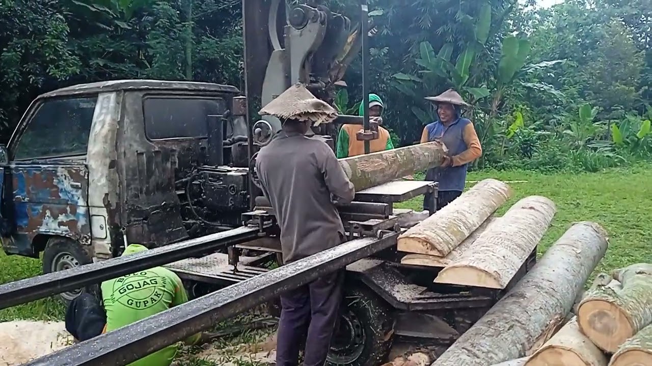 Membuat papan 1x20 panjang 2 meter dari kayu sengon jowo dengan gergaji mesin bandsaw rakitan