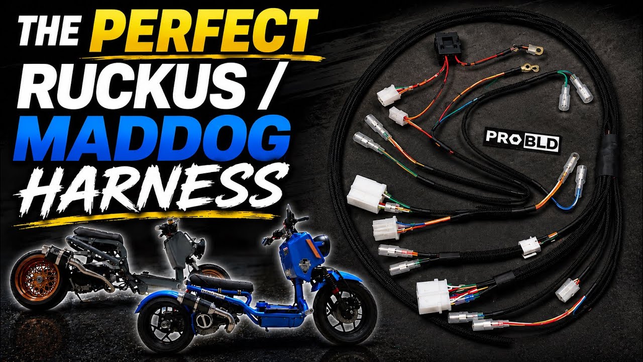 GY6 Ruckus / Maddog Wiring harness Upgrade