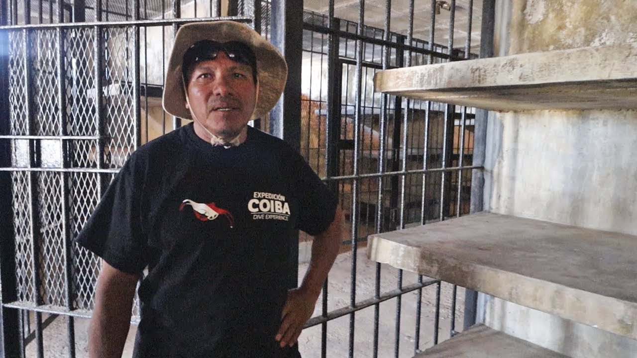 Llevé a un ex-prisionero a la cárcel donde estuvo por 12 años...