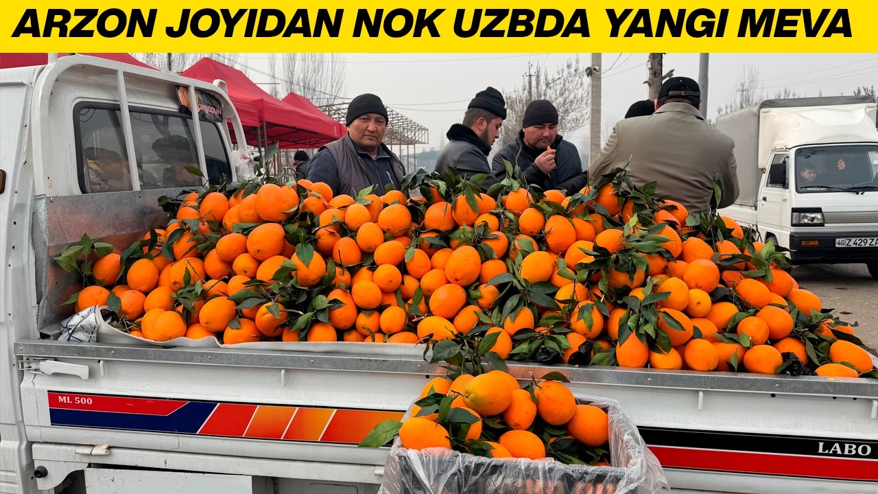 UZBDA YANGI MEVA FANTA JUDA MAZALI 2026-YIL  MEVALAR ARZON JOYIDAN