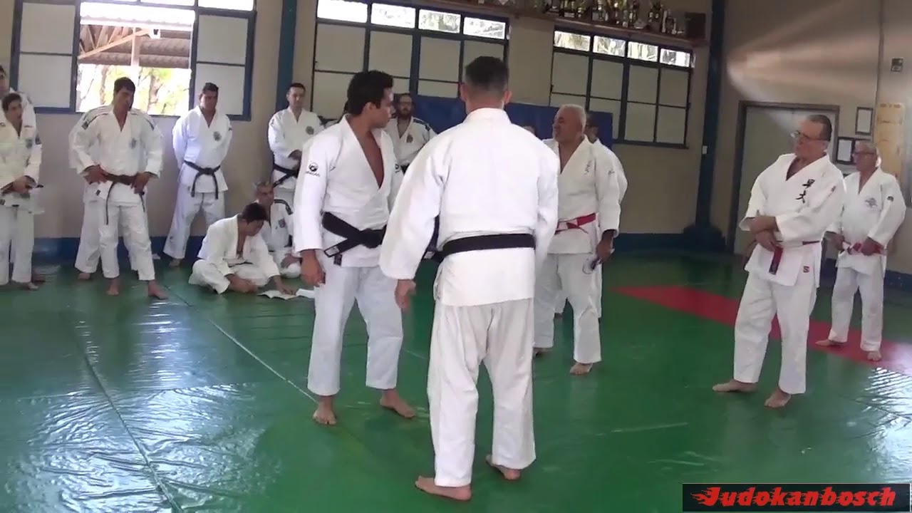 16  Ko uchi gaeshi
