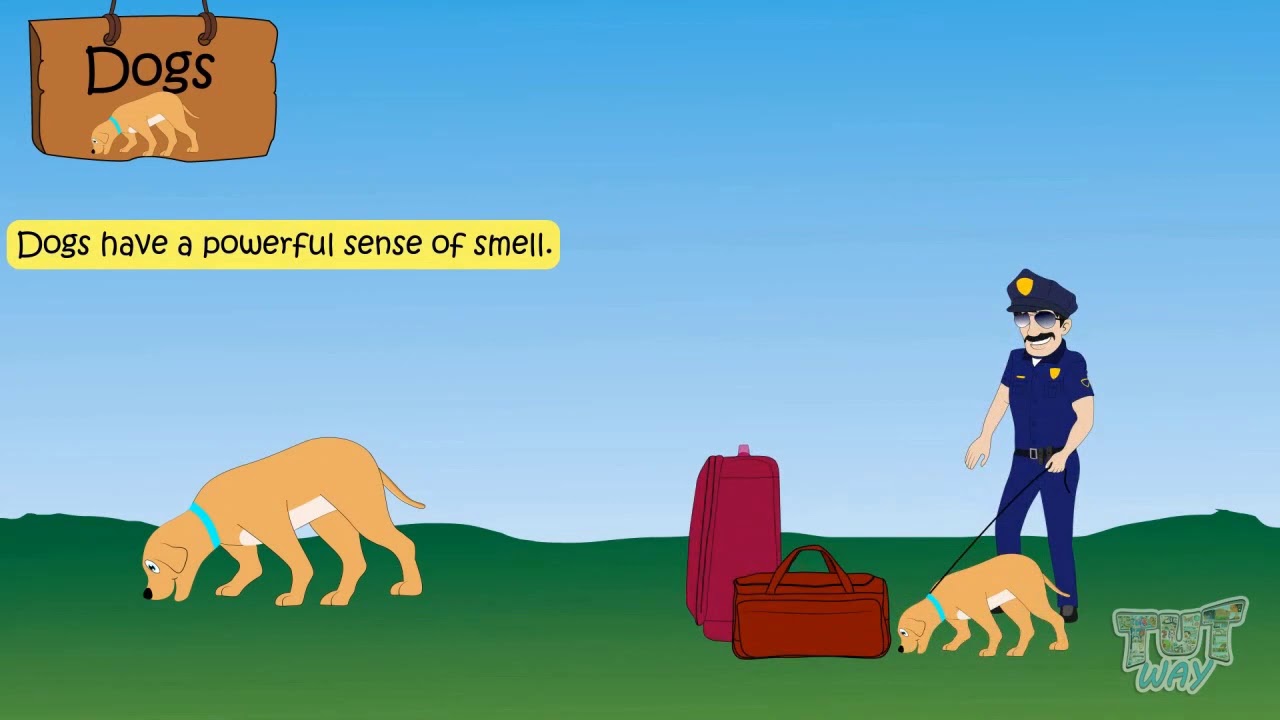 Domestic Animals and Their Importance | Science | Grade-1 | Tutway |
