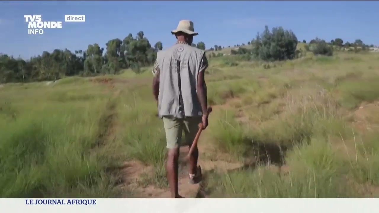 Afrique du Sud : une randonnée à Soweto