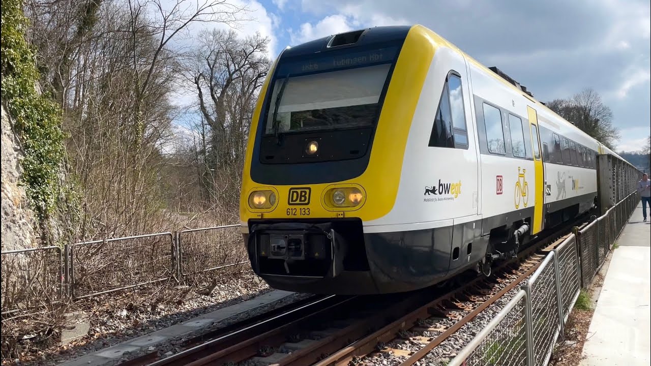 Zugverkehr über der Donau in Sigmaringen