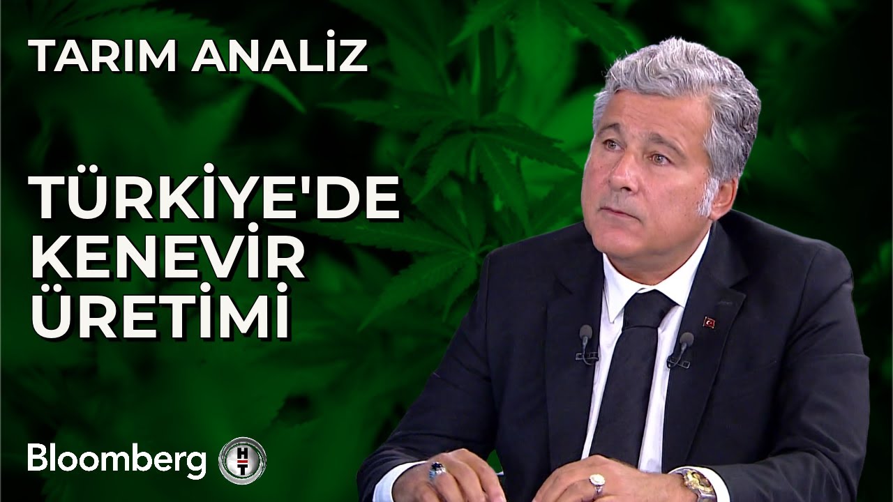 Tarım Analiz - Türkiye'de Kenevir Üretimi | 15 Kasım 2023