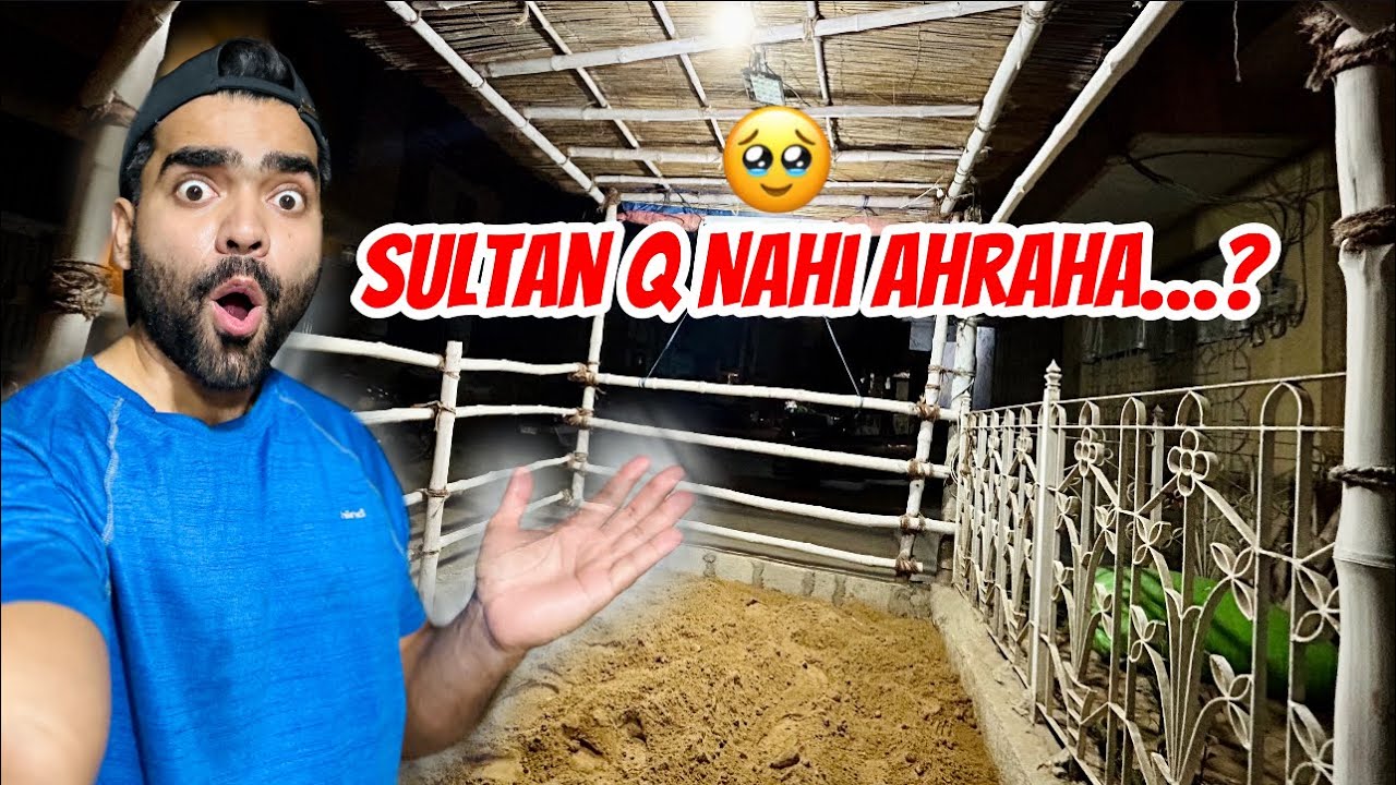 Sultan ko lekar ana cancel Hogaya Kia?Ab tak kiyun Nahi aaya🤔#kashanworld #qurbani2025