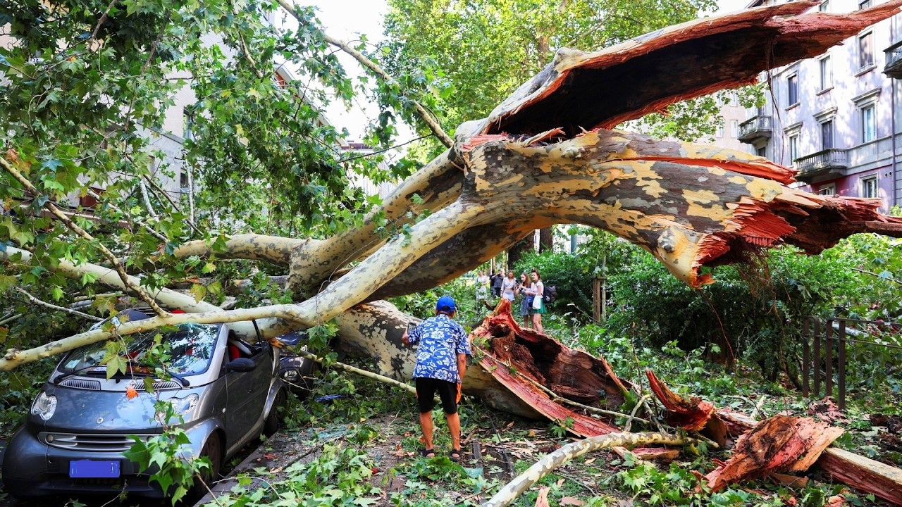 Heavy damage in Italy from recent storms