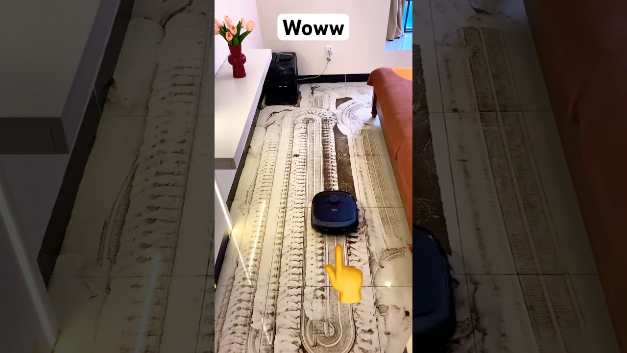 Is Robot Vacuums Worth the Money?