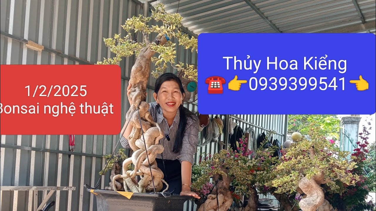 1/2/2026 Thủy Hoa Kiểng giao lưu hoa giấy đẹp bonsai nghệ thuật và nhiều màu cẩm thạch 