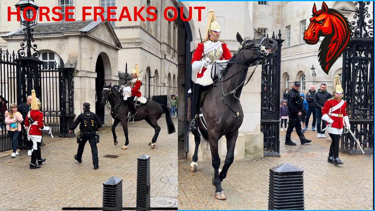Horse Freaks Out By Freak Weather & Sirens