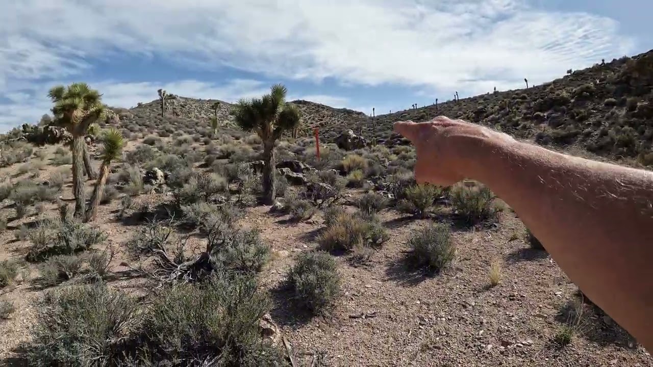 Visit to Roadblock Canyon, NEAREST Gate to Area 51