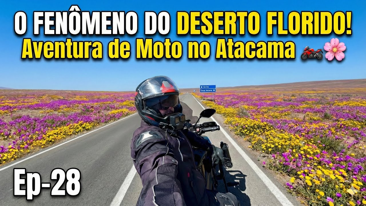 EP 28 - ATACAMA FLORIDO: A Paisagem Mais Surreal que Já Vi de Moto!