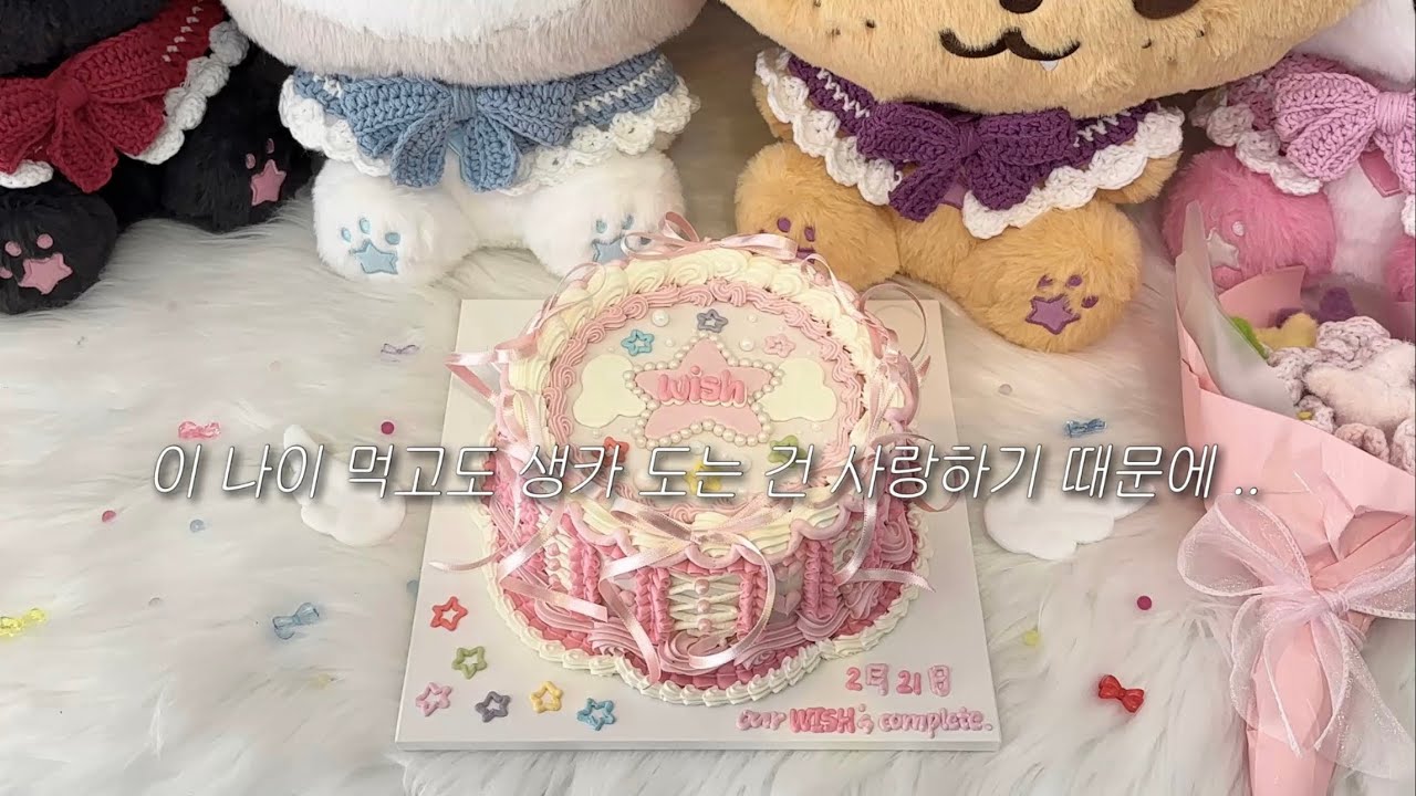 [위즈니 브이로그] 소년들.. 2주년 축하해요 | 위시 2주년 데뷔 생카 투어