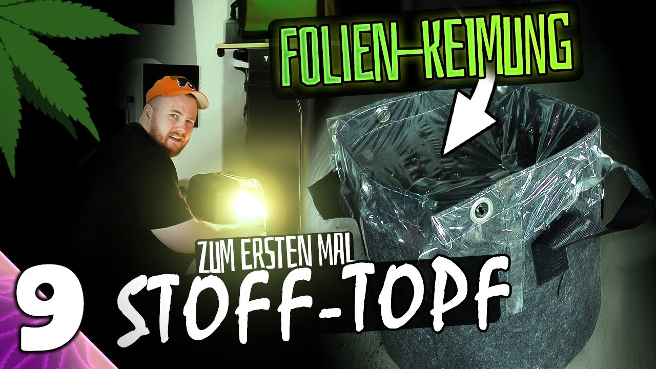 800 EURO GROW-BOX WIRD BEPFLANZT 🌱 | Vivosun x Ganesha | luckyandstoned