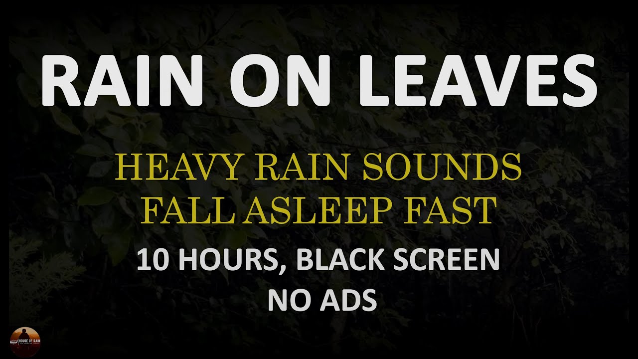 10 Hours of Heavy Rain Sounds for Sleeping, Fall Asleep Fast, Relaxing Rain Black Screen, No ADS